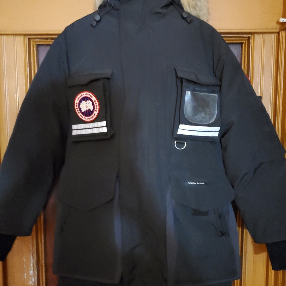 Canada goose